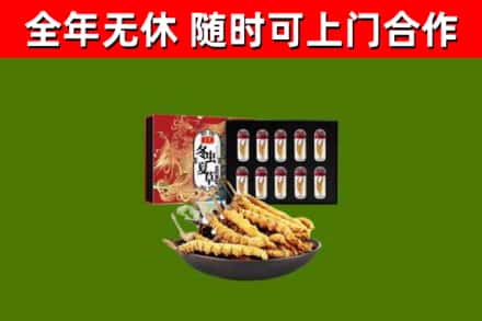 金平烟酒回收冬虫夏草礼盒.jpg